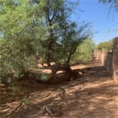 Natural Area Open Space