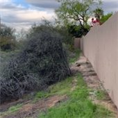 Scottsdale Rd. NAOS clearning project