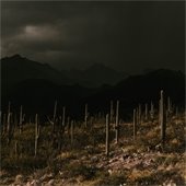 dark clouds over cactus and mountains