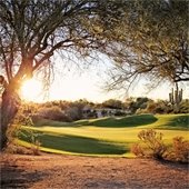 Landscaping on golf course