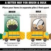 brush and bulk graphic