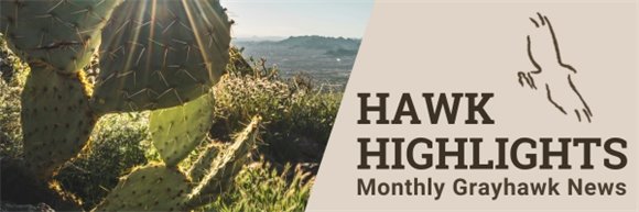 Hawk Highlights Header