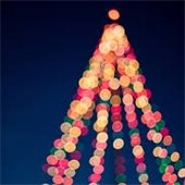 tree made of christmas lights