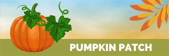 Pumpkin Patch graphic