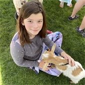 girl petting baby goat at Easter event