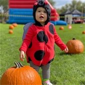 Small child in a ladybug costume at Pumpkin Patch
