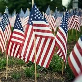 american flags in the ground