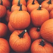 stack of pumpkins