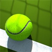 tennis ball laying on tennis court striping