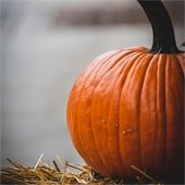 Pumpkin sitting on a pile of straw