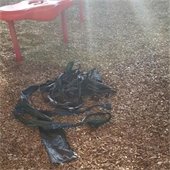 waste bags on the ground at the park