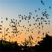 colorful bingo balls