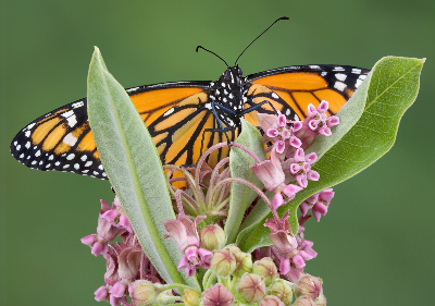 Untitled design (20)